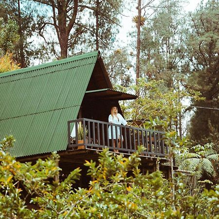 Hotel Cardinal Glamping Guatapé Zewnętrze zdjęcie