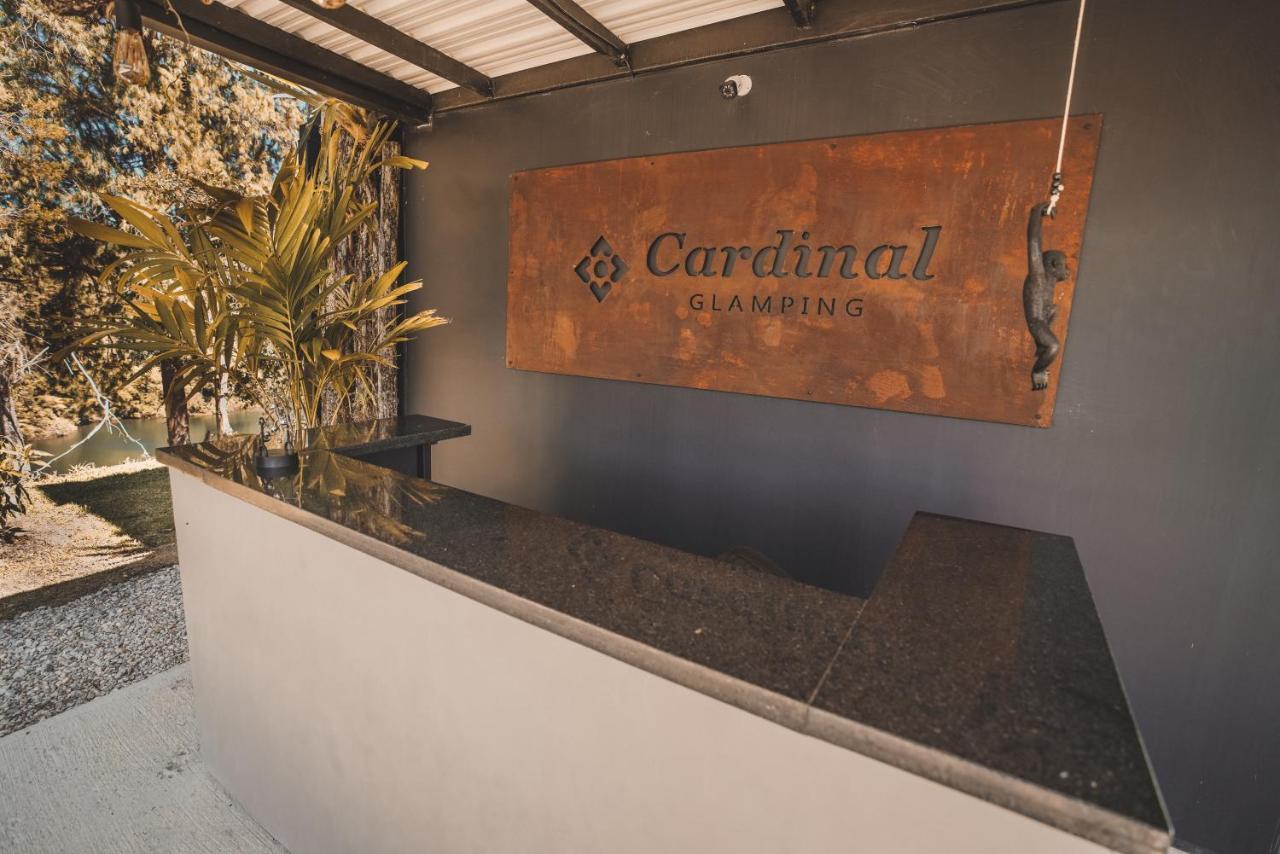 Hotel Cardinal Glamping Guatapé Zewnętrze zdjęcie