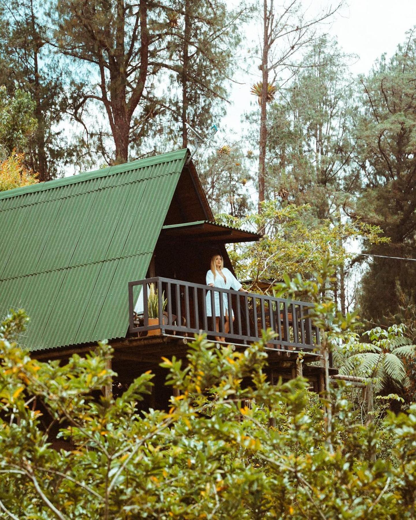 Hotel Cardinal Glamping Guatapé Zewnętrze zdjęcie